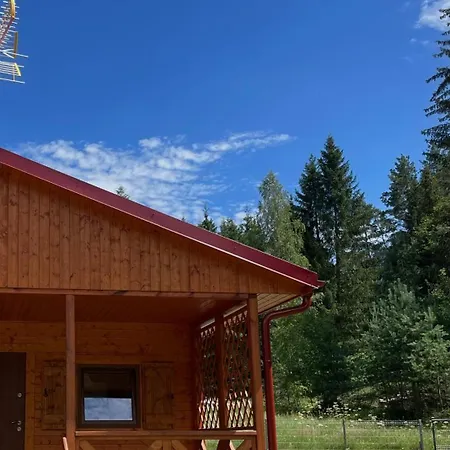 Sloneczne Wzgorze Pod Lasem 別荘 *