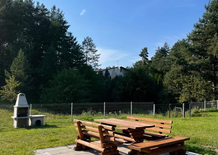 Słoneczne Wzgórze Pod Lasem Swieszyno (Bytow)