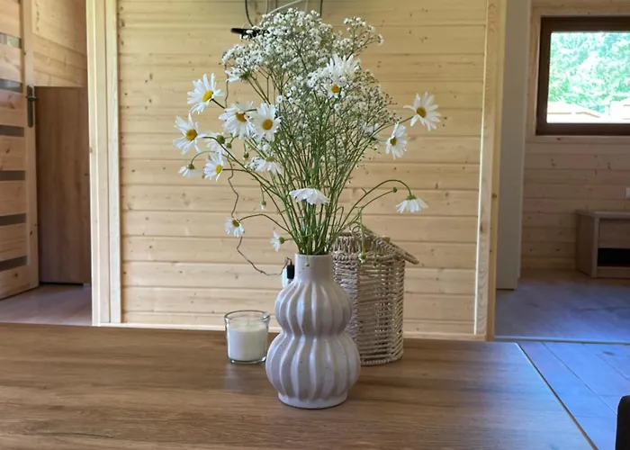 Słoneczne Wzgórze Pod Lasem